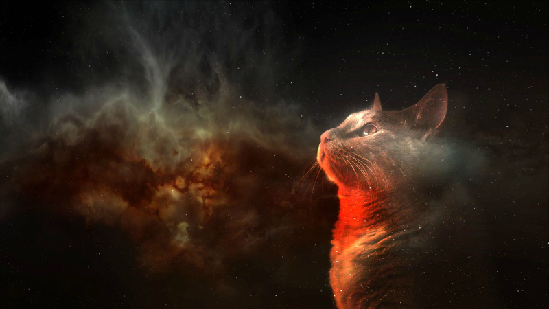 Illustration for article titled My God, It's Full Of Cats! The Very Best Artwork Of Cats In Space